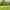 Non-electric grass tent or trailer tent pitch (2 adults and 4 children) 