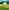 Tente cloche Tywi (2 adultes et 2 enfants) 