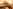 Skyview bell tent 