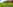 #1 Oak End non-electric grass tent pitch 