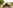 Bell tent 