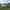 Electric grass pitch (medium)