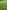 Powered grass site