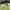 Fully-serviced grass pitch (large, super)