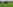 Non-electric grass tent pitch (medium) 