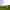 Bramley fully-serviced grass tent or campervan pitch