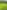 Unpowered grass site