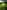 Exclusive Too non-electric grass tent pitch