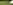 Шатер Dandelion 