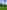 Electric grass tent pitch 
