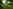 Electric optional grass tent or trailer tent pitch 