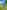 Green camping pod (double, two person) 