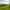 Non-electric grass and earth tent or trailer tent pitch 