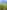 Non-electric grass tent or trailer tent pitch 