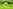 Bell tent
