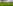 Non-electric grass tent or campervan pitch