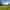 Electric grass touring pitch (2 adults and 4 children) 