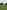 Non-electric grass tent or motorhome pitch