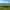 Non-electric grass pitch 