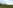 Powered grass tent campsite 