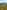 Electric optional grass tent pitch (family, jumbo) 