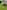 Bell tent