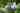 Bothy 1 bedroom cottage / chalet / bungalow 