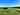 Primitive grass site