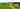 Beach Field non-electric grass tent, trailer tent or campervan pitch