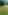 Non-electric grass tent pitch (backpacker, no cars)