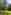 Meadow non-electric grass tent pitch