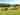 Non-electric grass pitch 