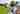 Bell tent 