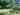 Exclusive Shady Woodland non-electric grass tent pitch