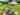 Bell tent