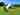Bell tent