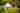 Cuddfan bell tent 