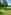 Electric grass tent pitch