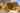 Redos de Madera cottage / chalet / bungalow (five person, pet friendly) 