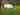 Electric optional grass and earth touring caravan pitch