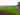 Paddock non-electric grass tent pitch 