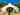 The Warren bell tent