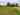 Участок для палатки Private meadow с травянистым покрытием без электричества