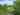 Non-electric grass tent pitch