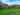 Non-electric grass and earth tent pitch (wild, woodland) 
