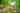 Electric grass pitch (large)