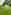 Non-electric grass tent pitch (six person) 
