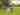 Non-electric grass tent pitch