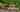 2 bedroom cottage / chalet / bungalow 