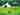 Tente cloche Tywi (2 adultes et 2 enfants) 